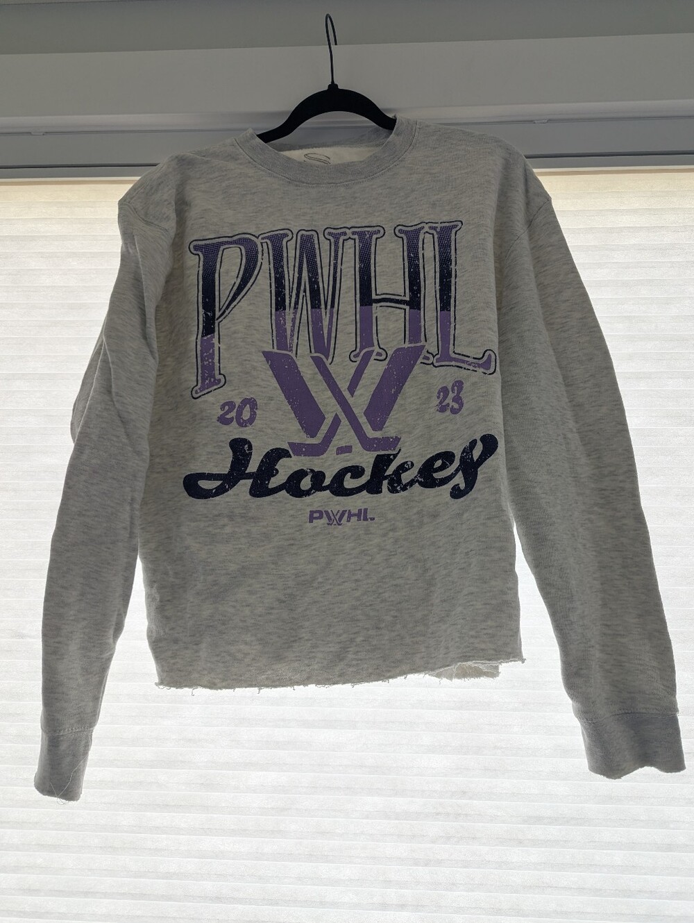 PWHL Hockey Sweatshirt